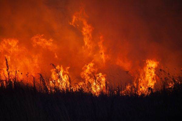 Wildfires spread across the Iberian Peninsula and southern France amid extreme heat